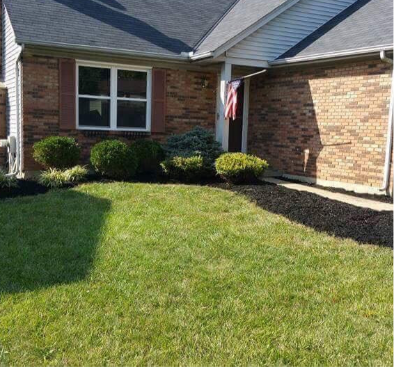 Landscaping Consultation